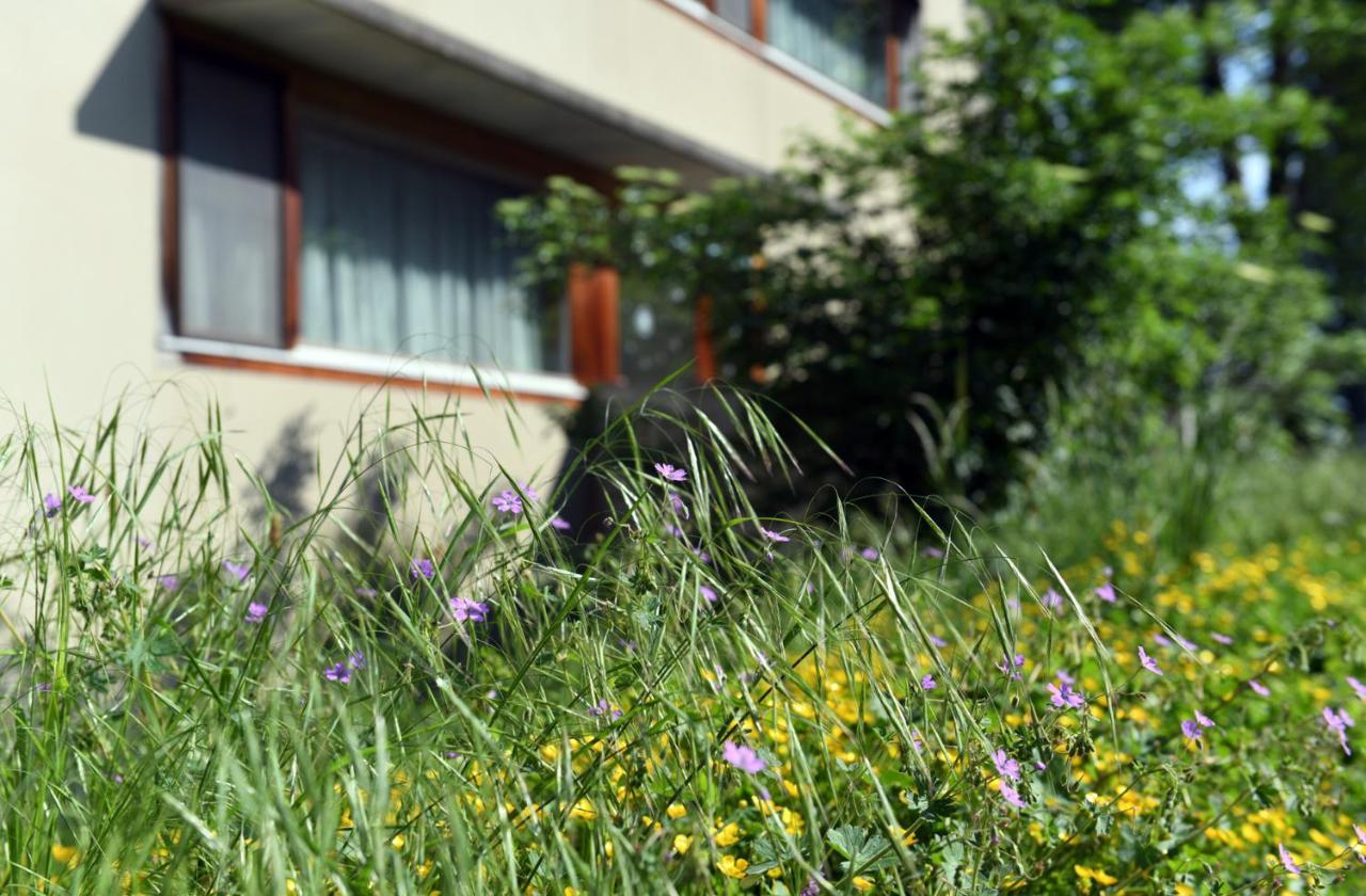 Hotel Domaine De La Sauge Cudrefin エクステリア 写真