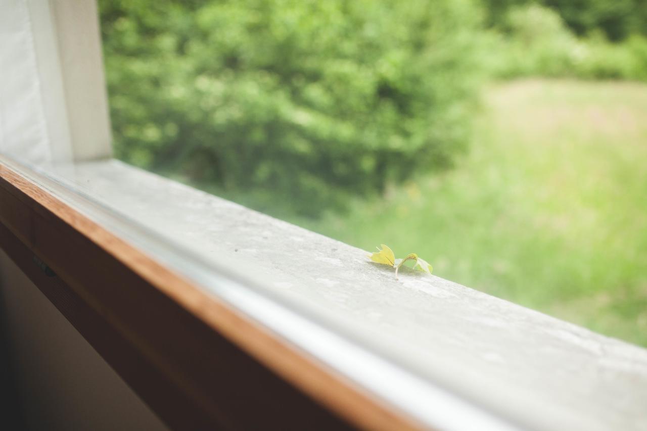 Hotel Domaine De La Sauge Cudrefin エクステリア 写真