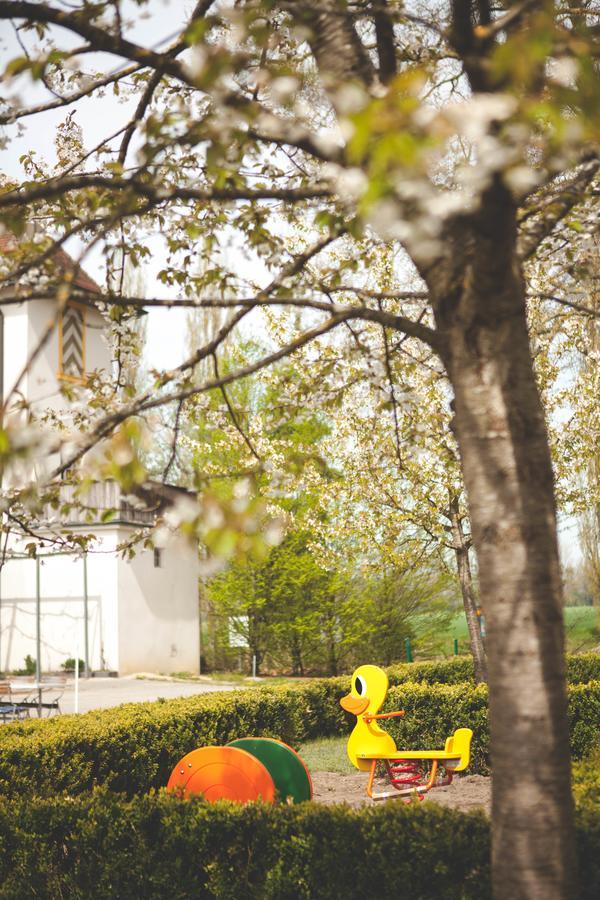 Hotel Domaine De La Sauge Cudrefin エクステリア 写真