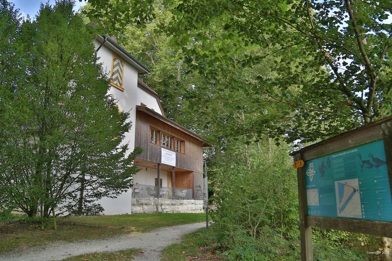 Hotel Domaine De La Sauge Cudrefin エクステリア 写真